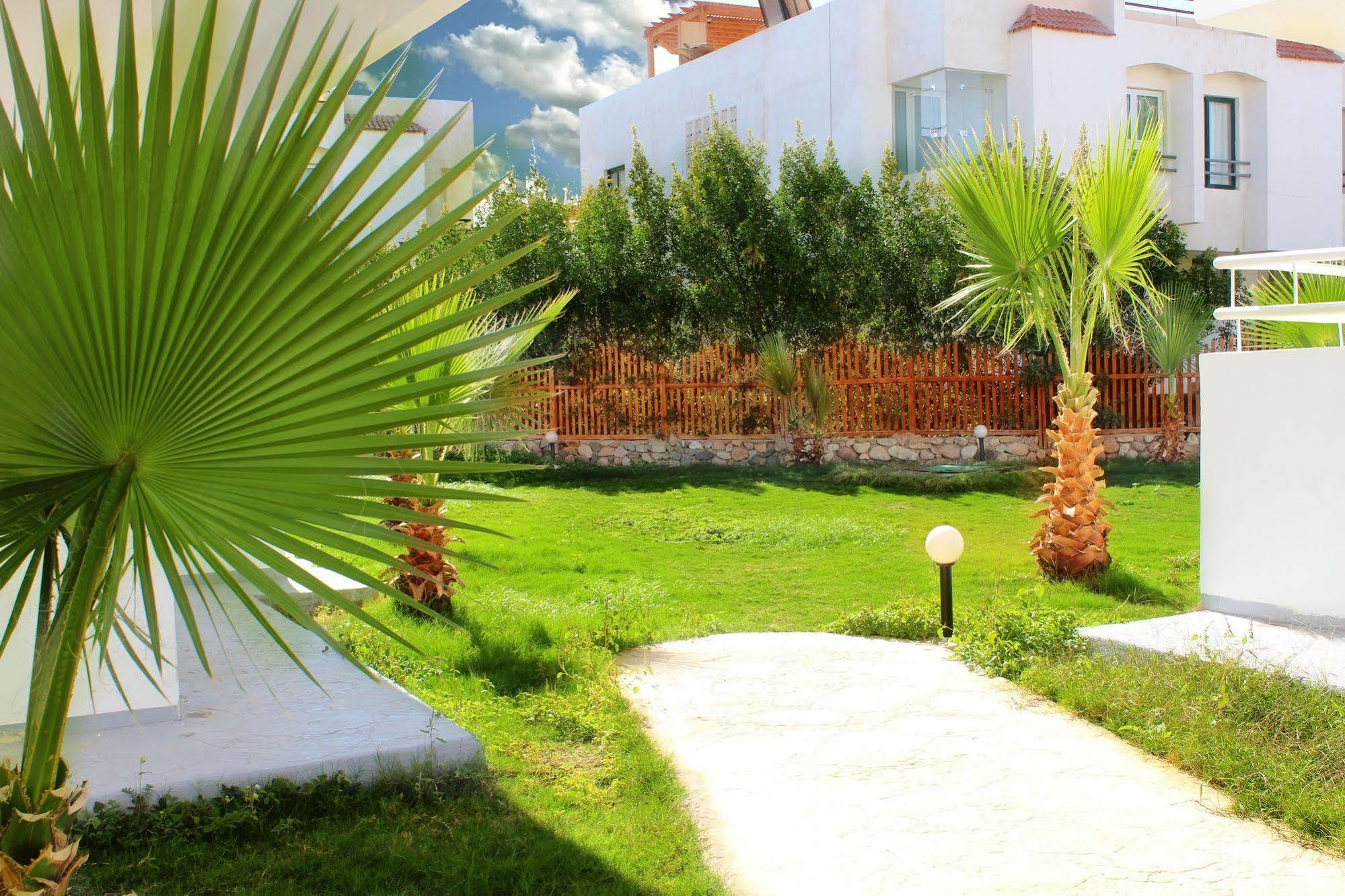 Viking Club Hotel Sharm El Sheikh Dış mekan fotoğraf